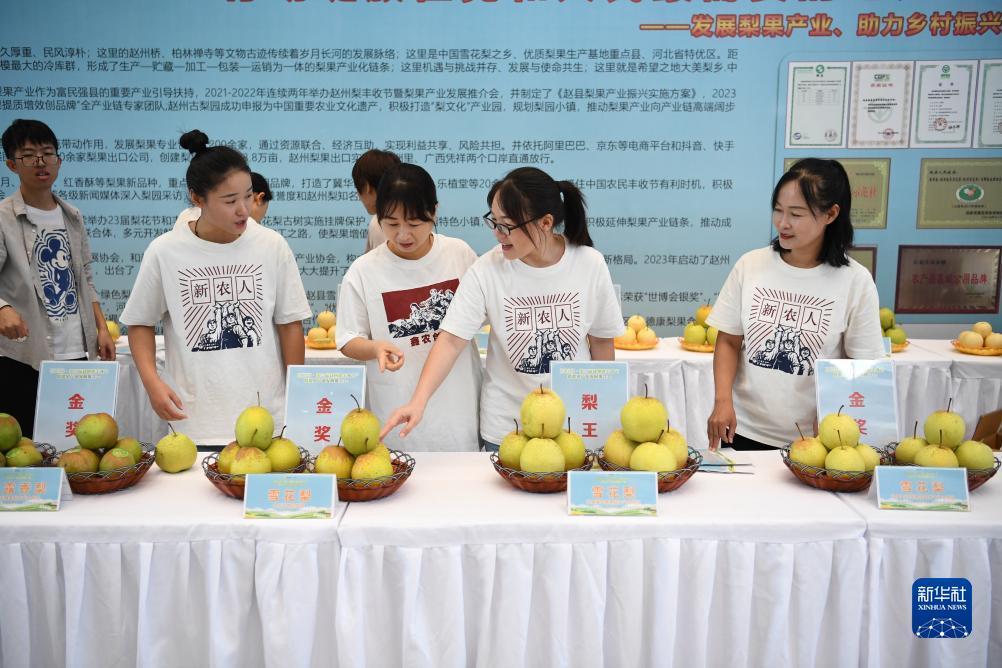 天盛娱乐44616